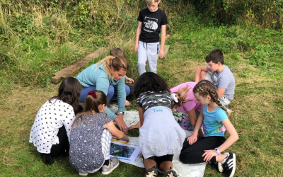 Making a map using natural resources 